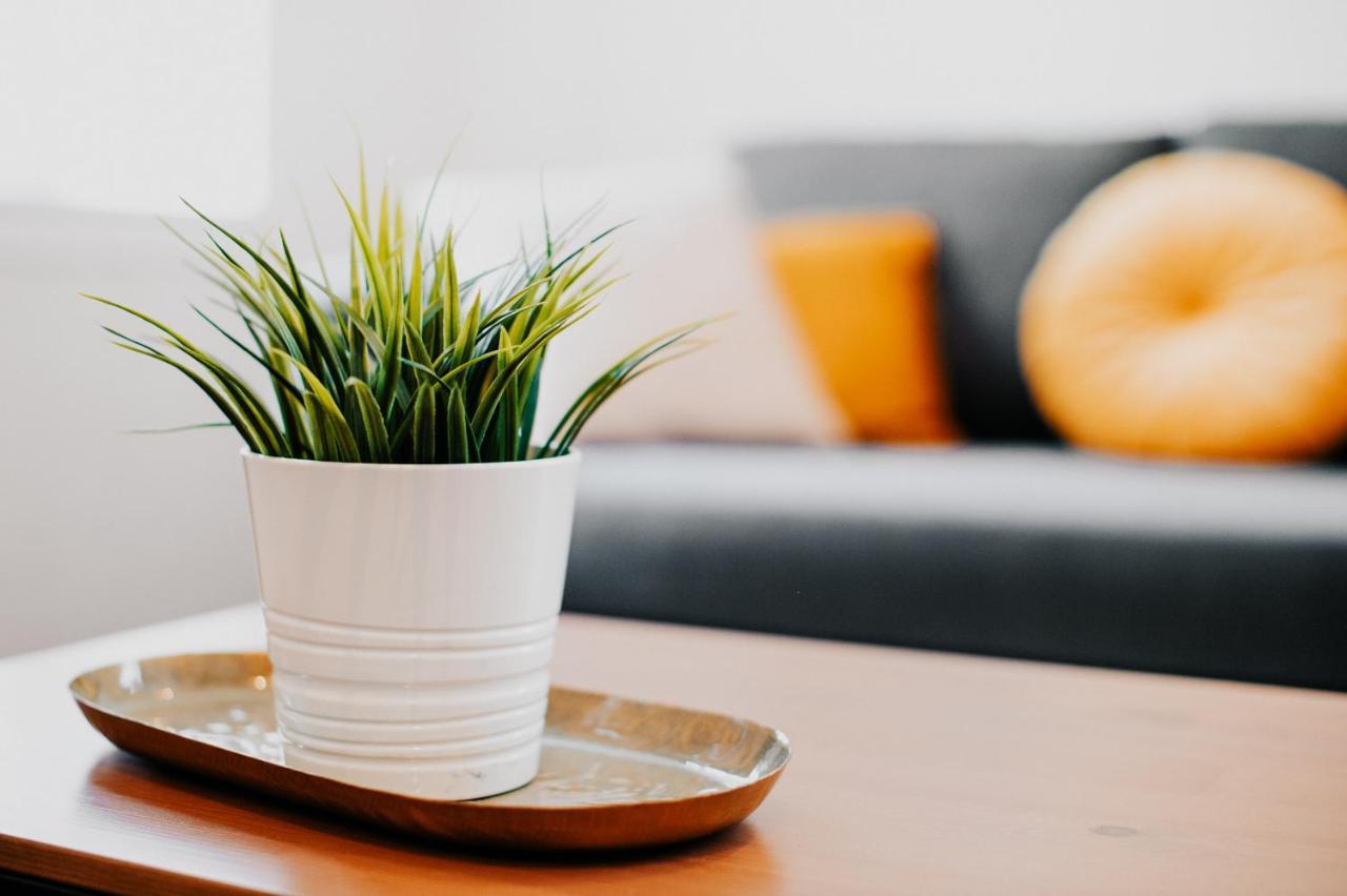 Appartement Cosy Avec Place De Parking Prive Toulouse Eksteriør billede